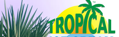 Tropical Ice Cream